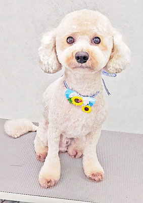 有村ルークちゃん