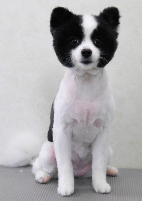 森崎マリアンちゃん