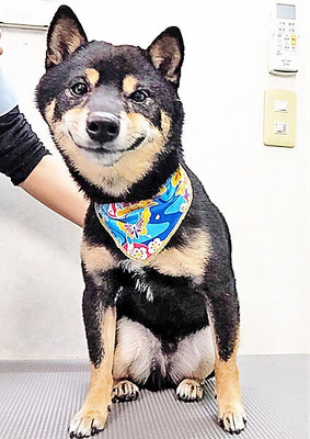 中野めらんちゃん