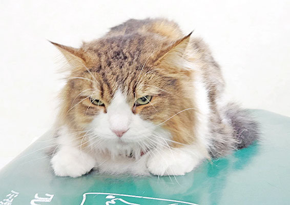 浜﨑レオンちゃん