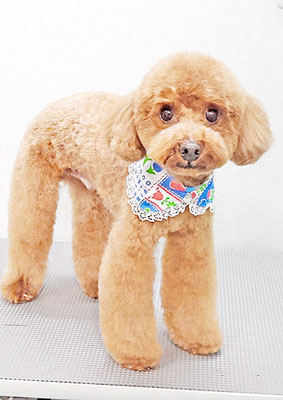 吉村弦之介ちゃん