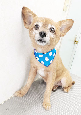 助村ルウちゃん