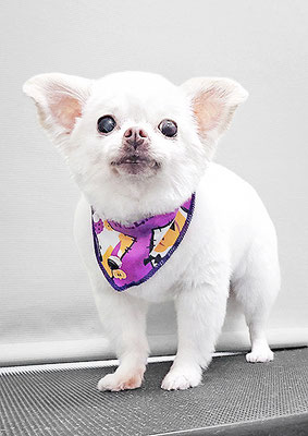 上馬場ゆきちゃん