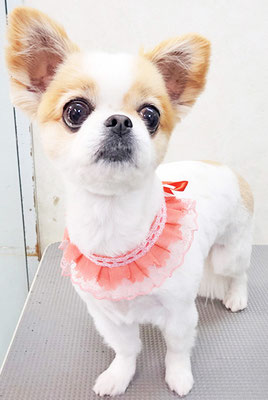 福永ハルちゃん