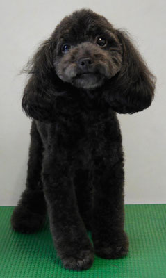 森崎ラブちゃん