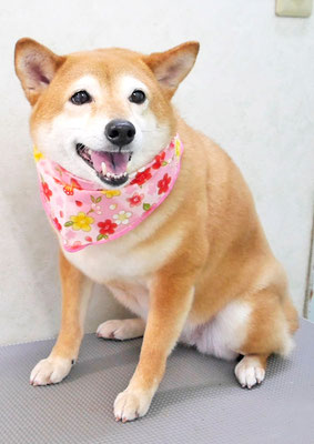 有馬コナツちゃん