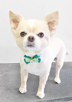 林レオンちゃん