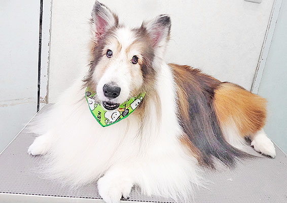 前野レオンちゃん