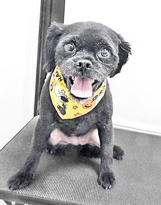 徳田あずきちゃん