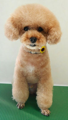 肥田クゥちゃん