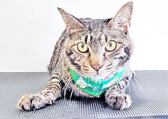 松尾レオンちゃん