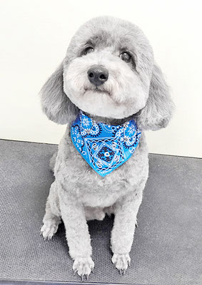 橋口最中ちゃん