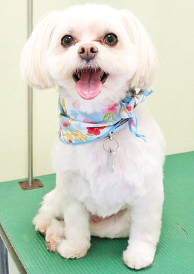 大脇ココアちゃん