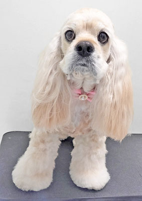 福富ベリーちゃん