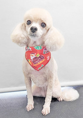 新留モコちゃん