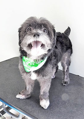 木口屋ジャックちゃん