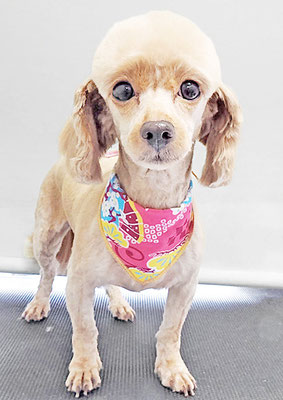 中村てぃーちゃん