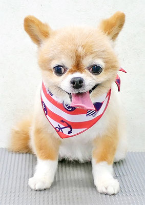 川田オカンちゃん