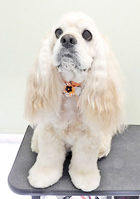 福富ベリーちゃん