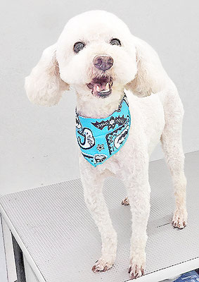 室ポンタちゃん