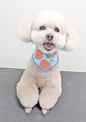 肥田クゥちゃん