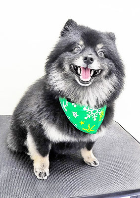 福山ポパイちゃん