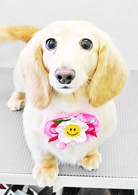 松村エルちゃん