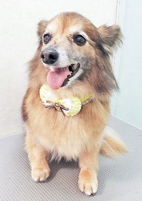 田島ベリちゃん