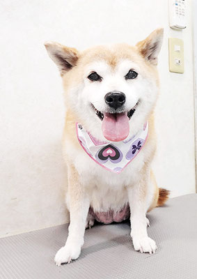 小田ハルちゃん