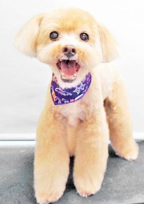 堀内まりもちゃん