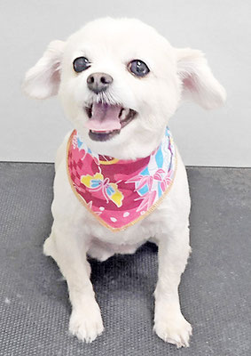 酒井ヒナちゃん