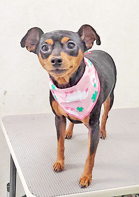 宮下フランちゃん