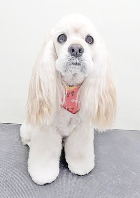 福富ベリーちゃん