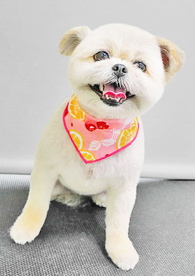 太崎ちゅらちゃん