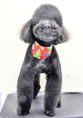 上村エイトちゃん