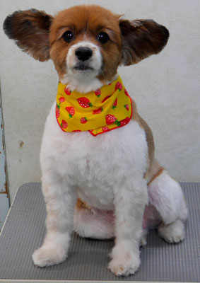 玉利ユズちゃん