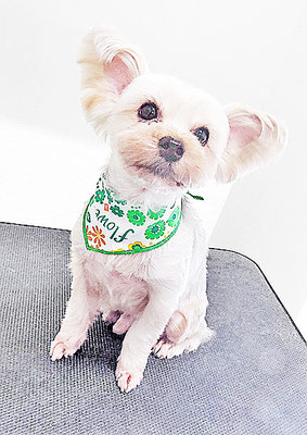 源川源之介ちゃん