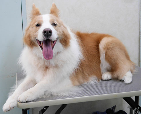 森本アンズちゃん