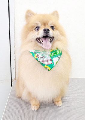 大井ポンタちゃん