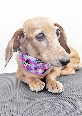 別府モモちゃん