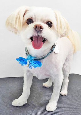 大脇ココアちゃん