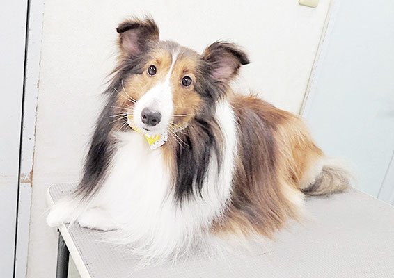 國生レイラちゃん