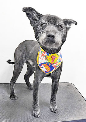 中田たろうちゃん