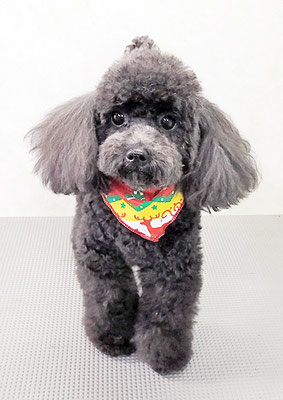 石田おはぎちゃん