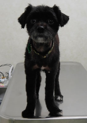 濵田リヨンちゃん