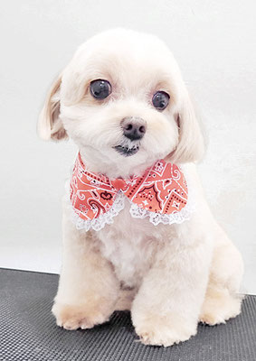 永濱サラちゃん