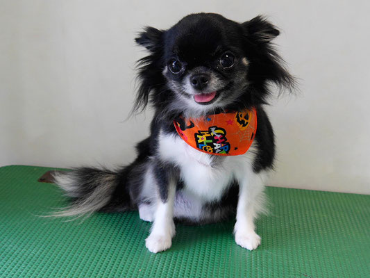 森崎クロちゃん