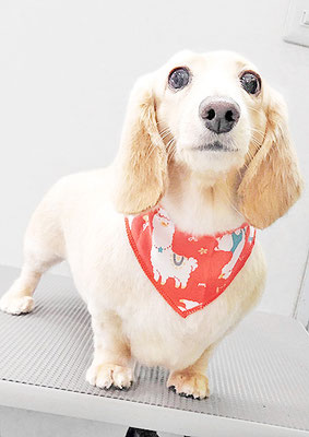 松村エルちゃん