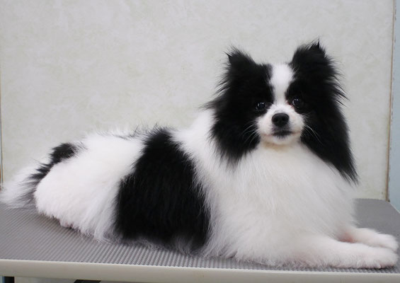 森崎マリアンちゃん