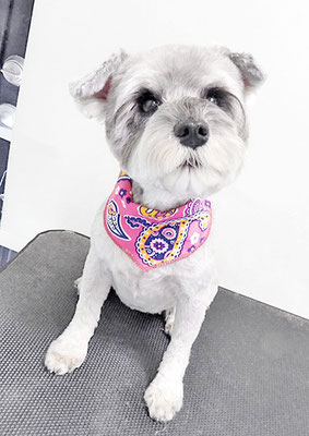 新田つむぎちゃん